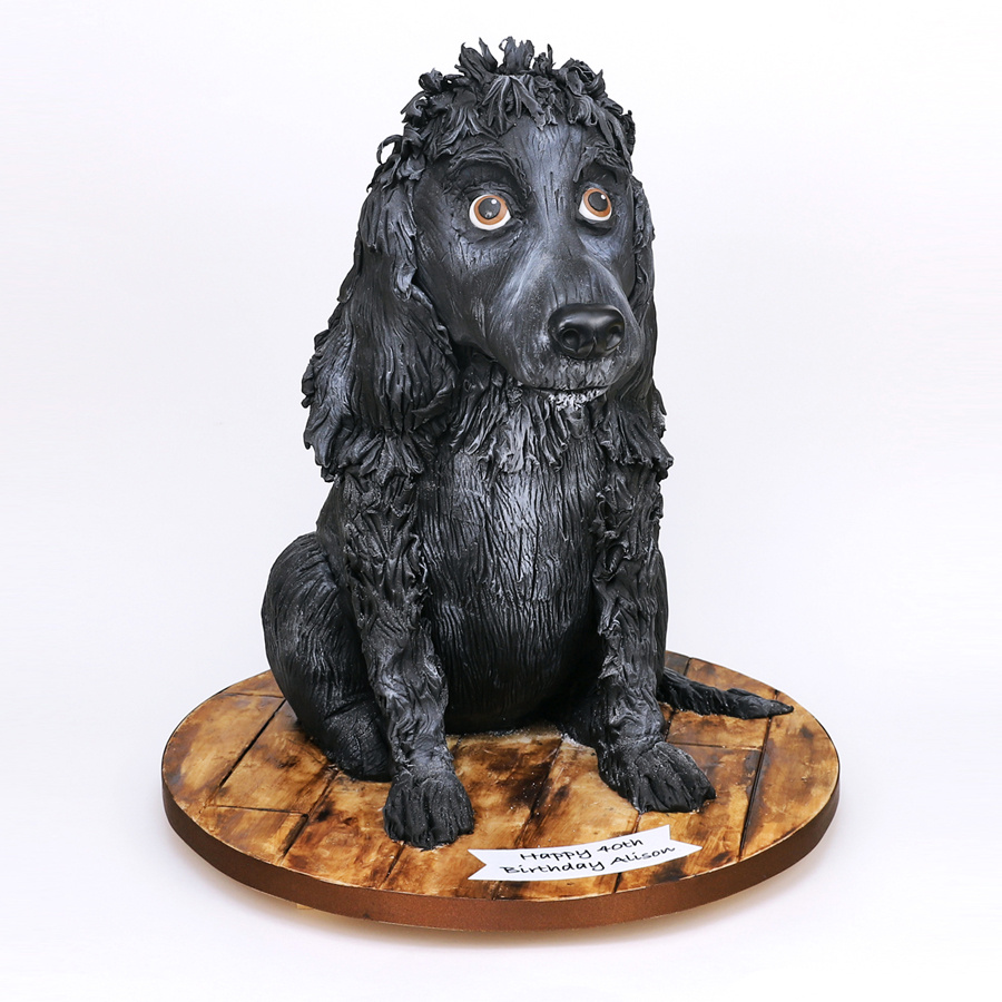 Cocker spaniel cake