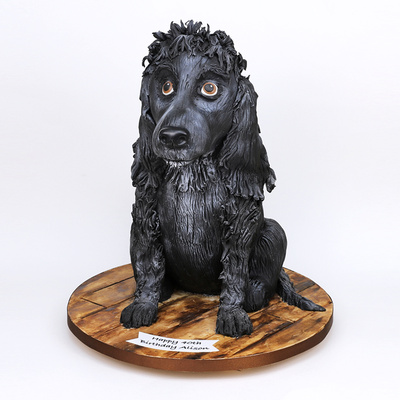 Cocker spaniel cake