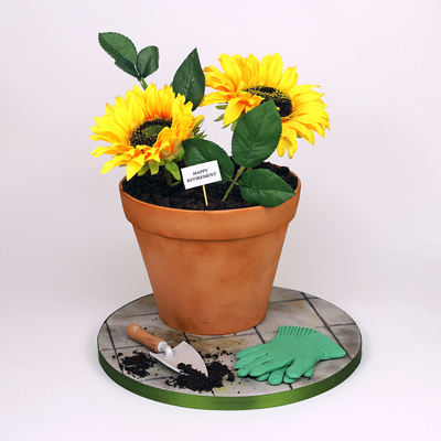 Flower pot retirement cake